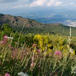 Panorama con la cresta del Monte Somma, Valle del Gigante e Valle dell'Inferno sul Vesuvio (ph Gianfranco Adduci)