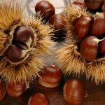 sagre-della-castagna-in Campania nel 2014