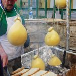 Caciocavallo podolico alla Sagra delle Sagre