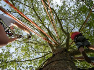 Ragazzi si allenano con il tree climbing sportivo