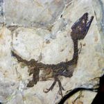 dinosauro-pietraroja, ecoeventi in Campania in primavera