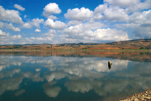 L'Oasi naturale del Lago di Conza (foto da incampania.it)
