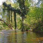 oasi-lipu-zone-umide-beneventane, escursioni per i ponti di primavera in Campania