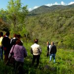 Escursioni e passeggiate gratuite nella Valle del fiume Alento, in Cilento