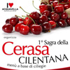 sagra-della-cerasa-cilentana-2015