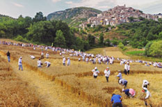 Il Palio del Grano nel borgo cilentano di Caselle in Pittari