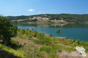 oasi-wwf-campolattaro-ph-gianfranco-adduci