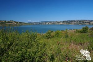 oasi wwf lago campolattaro (ph Gianfranco Adduci)