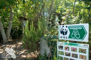 Osservatorio Birdwatching Oasi WWf Lago di Capolattaro (ph Gianfranco Adduci)