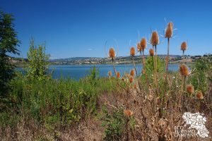 Panorama dall'Oasi WWF Lago di Campolattaro (ph Gianfranco Adduci)