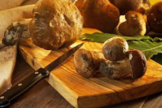 Sagra del fungo porcino a Castel Pagano