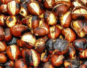 Sagra della Castagna a Sicignano degli Alburni