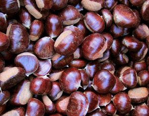 Le castagne di Roccamonfina