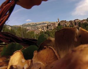 Cusano Mutri, edizione 2015 della sagra dei funghi