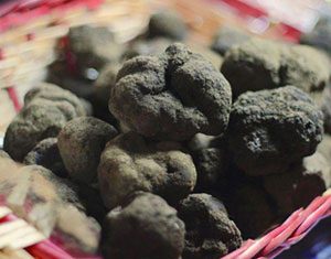 Anteprima della Sagra del Tartufo Nero di Bagnoli Irpino