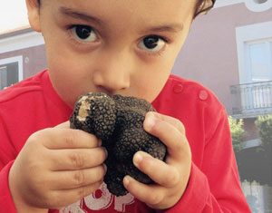 Il tartufo di Colliano