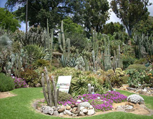 orto-botanico-napoli
