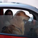I ciccianesi si recano in piazza per la processione degli animali (ph Pasquale Ottaiano)