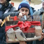 Uccelli portati per la benedizione degli animali a Cicciano (ph Martina D'Amodio)