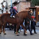 Gli animali in processione intorno al Castello di Cicciano (ph Brigitta Casieri)