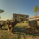 L'oasi naturalistica Ferrarelle FAI a Riardo, nell'Alto Casertano