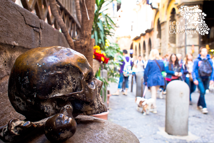 Un teschio della Chiesa di Santa Maria delle Anime del Purgatorio ad Arco di Napoli (ph Gianfranco Adduci)