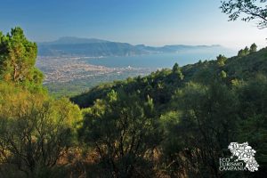 Panorama della penisola sorrentina dal Monte Somma - Vesuvio (ph Gianfranco Adduci)