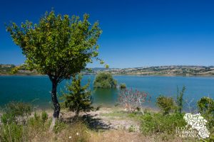 Oasi WWf Lago di Campolattaro (ph Gianfranco Adduci)