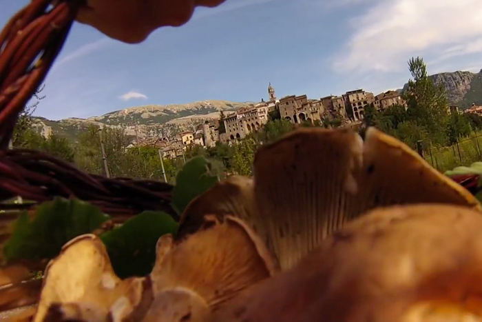 Sagra dei Funghi di Cusano Mutri 2015