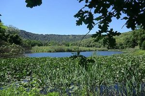 Laghetto nell'Oasi WWF Cratere degli Astroni