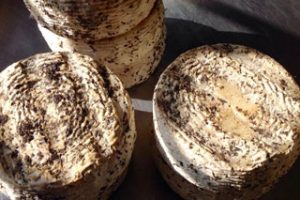 formaggio marzolina agriturismo la vecchia fonte