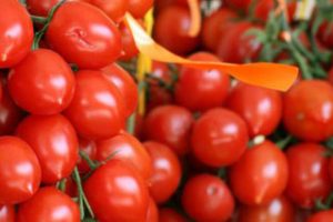 pomodorini del piennolo del vesuvio