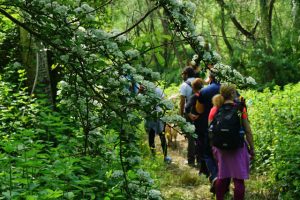 Escursione nei boschi dell'Oasi Lipu Zone Beneventane (foto di Serena Iele)