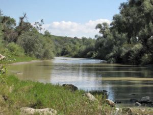 Il fiume Calore nell'Oasi Lipu di Benevento