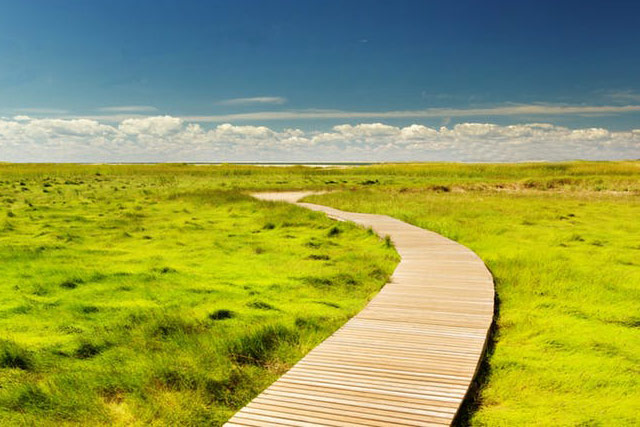 Italiani viaggiatori green