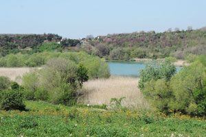 Panorama Oasi Persano