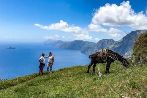 Antica mulattiera sul Sentiero degli Dei (foto di Cartotrekking)
