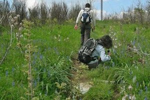 Passeggiata sul Monte Vico Alvano