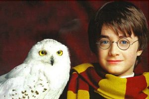 harry potter animali magici