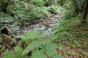 Sentiero a Tuoro nel Parco di Roccamonfina