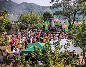 Concerti di Foodstock a Calvanico