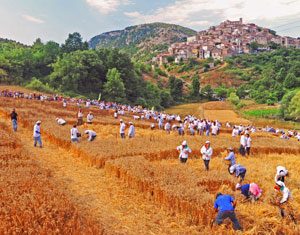 Il palio del grano a Caselle in Pittari
