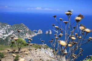 Panorama di Capri dal Monte Solaro