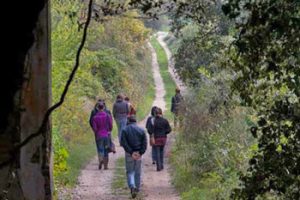 Passeggiata nell'oasi WWF di San Silvestro