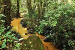 Sorgenti termali a Sessa Aurunca nel Parco di Roccamonfina