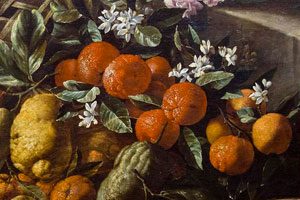 Mandarini in un quadro di Abraham Brueghel (Museo di Capodimonte Napoli)