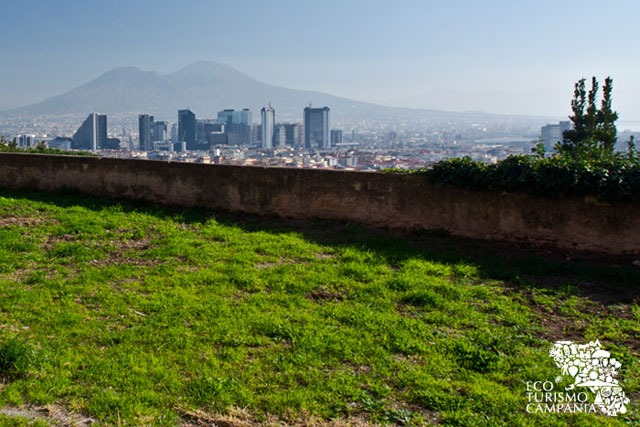 Panorama sulla città di Napoli dalla collina del Moiariello (ph Gianfranco Adduci)