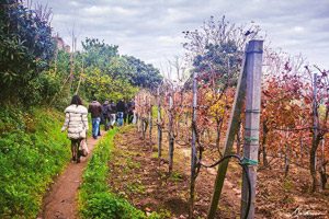 sentiero per il borgo Cappella a Bacoli