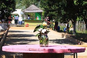 Il Giardino dell'Orco sul Lago Averno