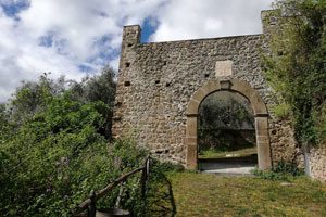 Lungo il sentiero del Barone nel Parco di Roccamonfina